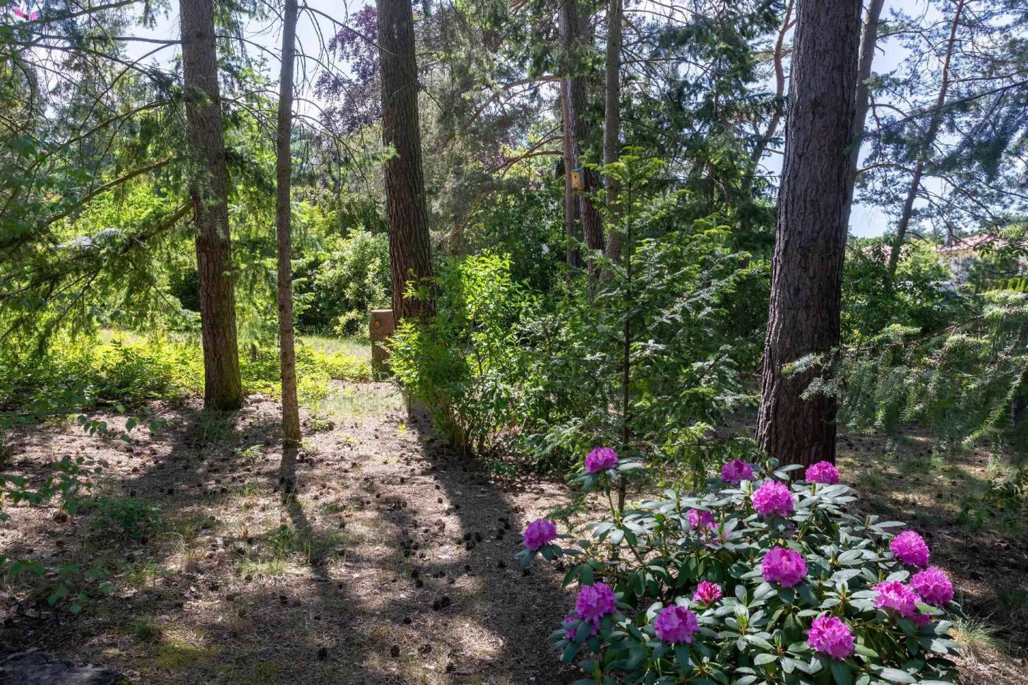 Krohse Hébergement de vacances *